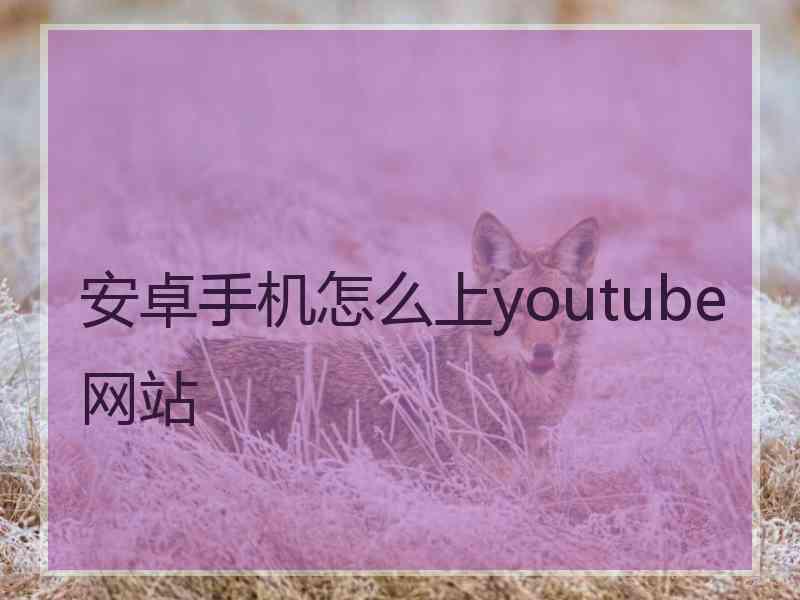 安卓手机怎么上youtube网站