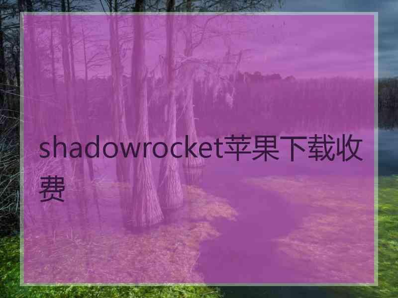 shadowrocket苹果下载收费
