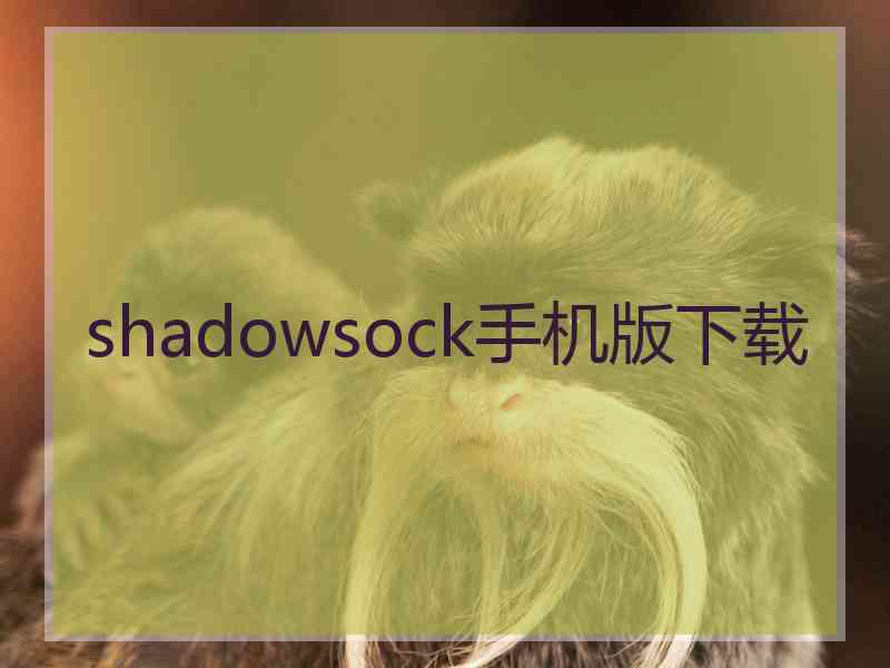 shadowsock手机版下载