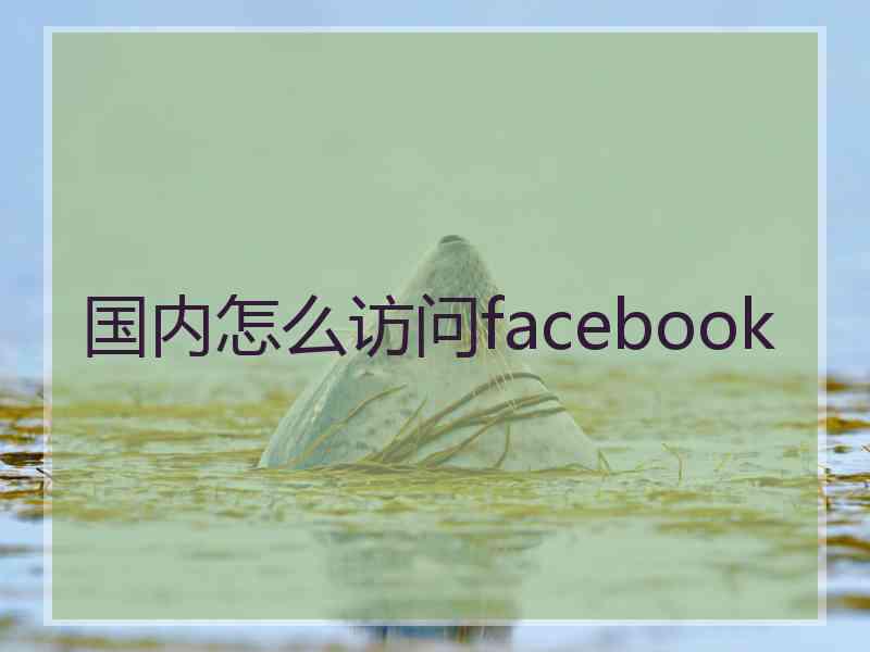 国内怎么访问facebook