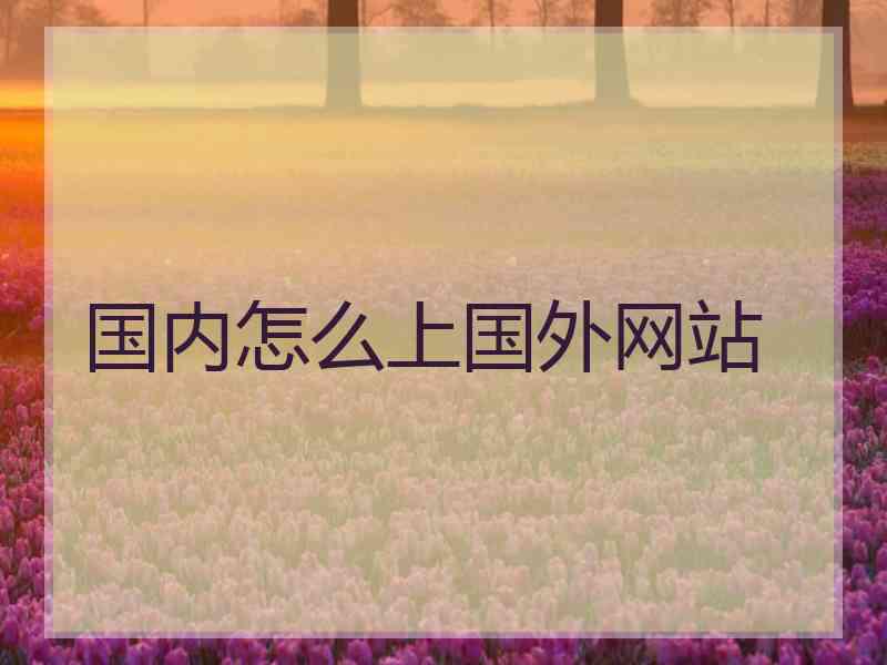 国内怎么上国外网站