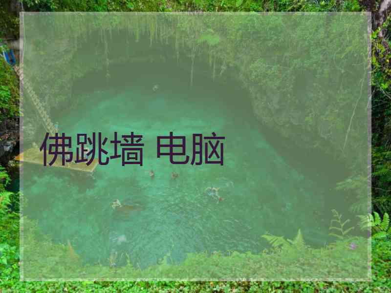 佛跳墙 电脑