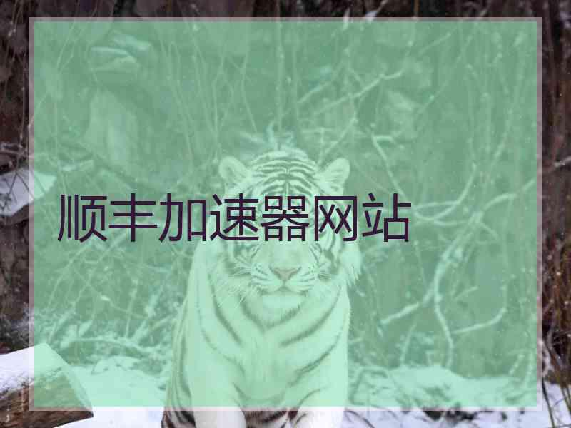 顺丰加速器网站