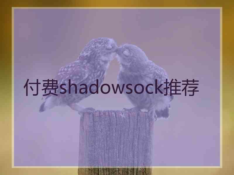 付费shadowsock推荐
