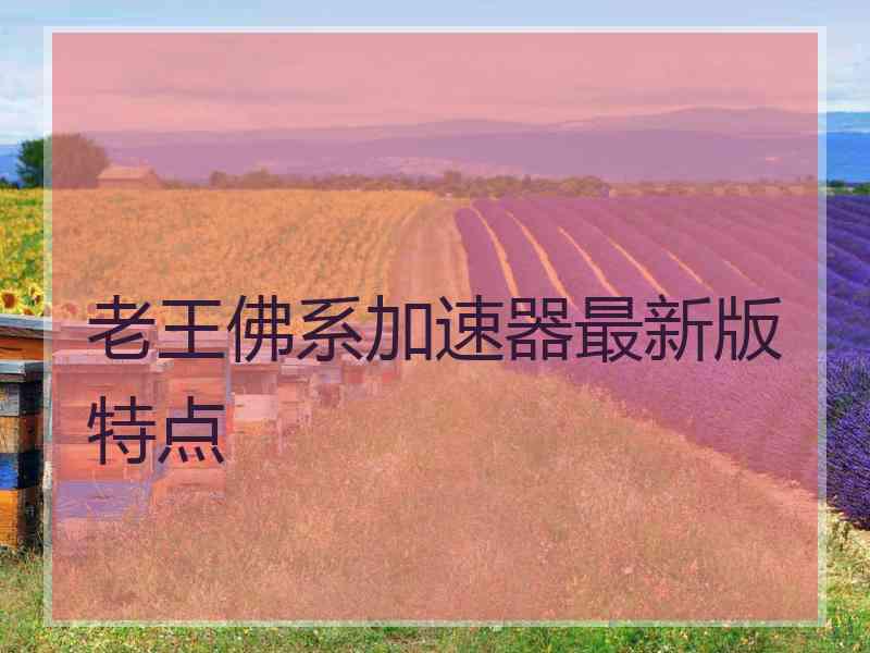 老王佛系加速器最新版特点