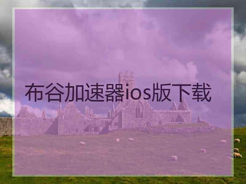 布谷加速器ios版下载