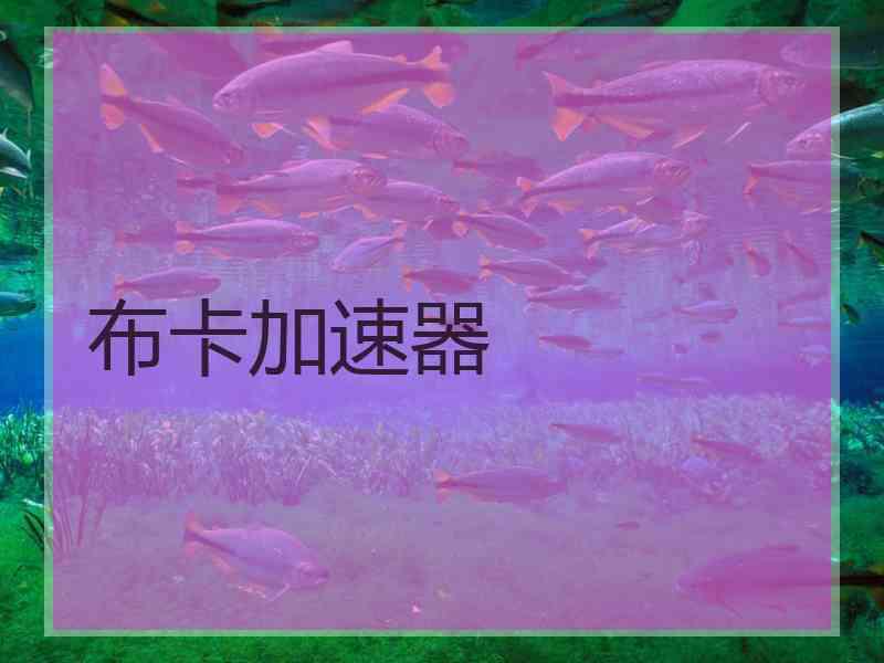 布卡加速器