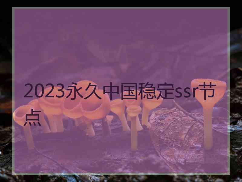 2023永久中国稳定ssr节点