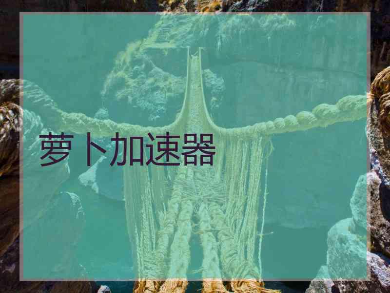 萝卜加速器