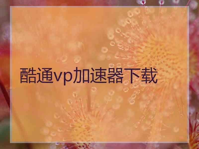 酷通vp加速器下载