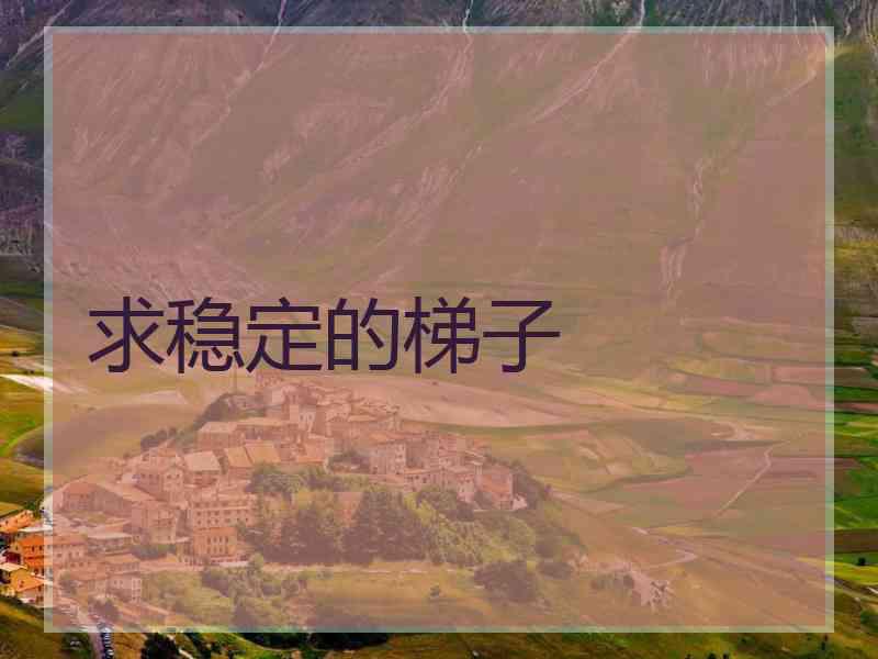 求稳定的梯子