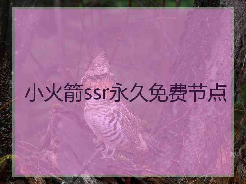 小火箭ssr永久免费节点
