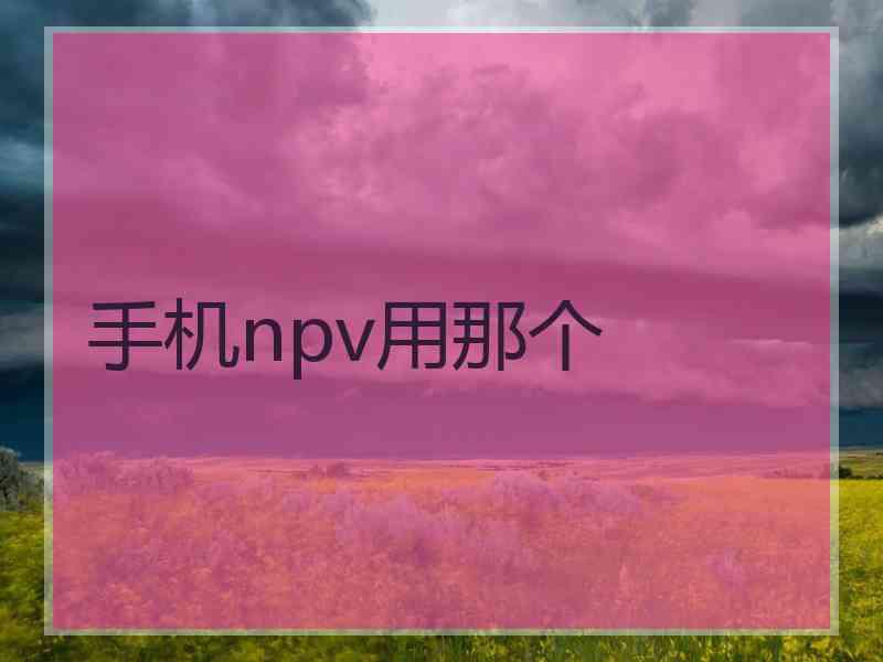 手机npv用那个
