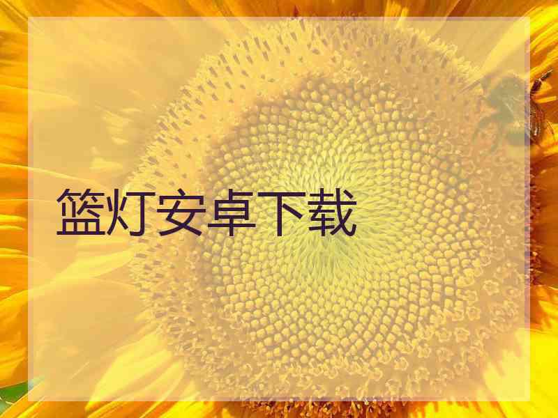 篮灯安卓下载