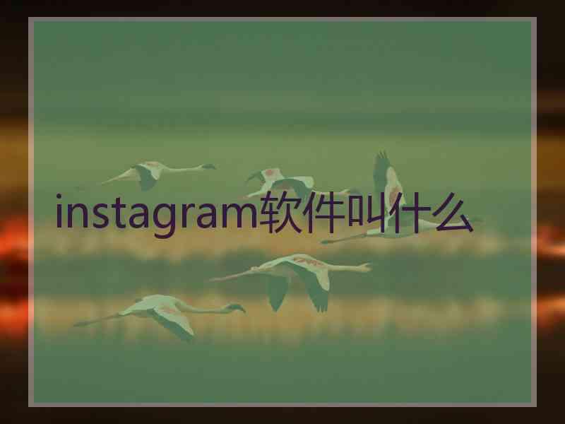 instagram软件叫什么