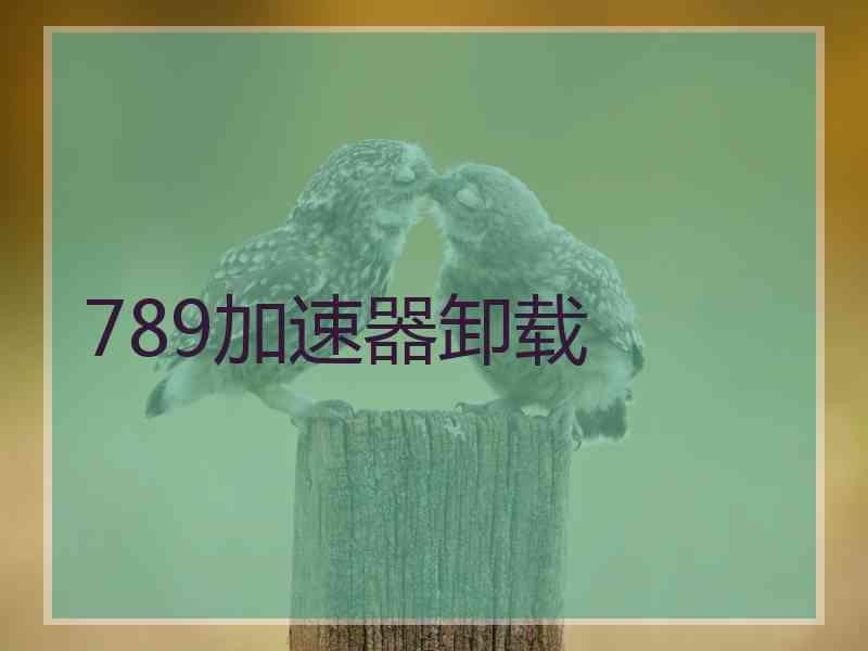 789加速器卸载
