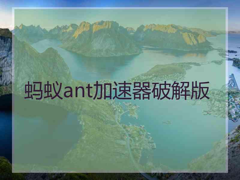 蚂蚁ant加速器破解版