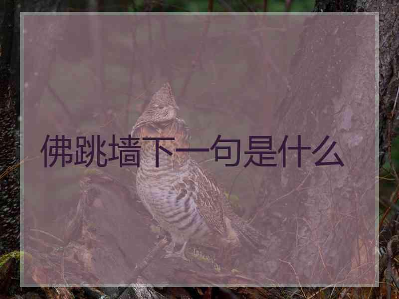 佛跳墙下一句是什么