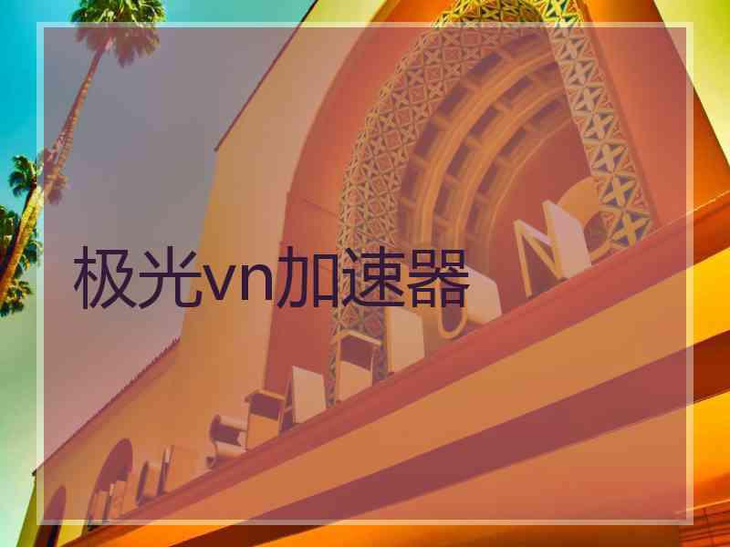 极光vn加速器