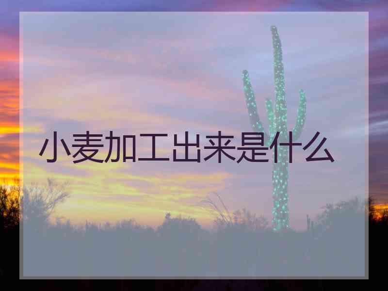 小麦加工出来是什么