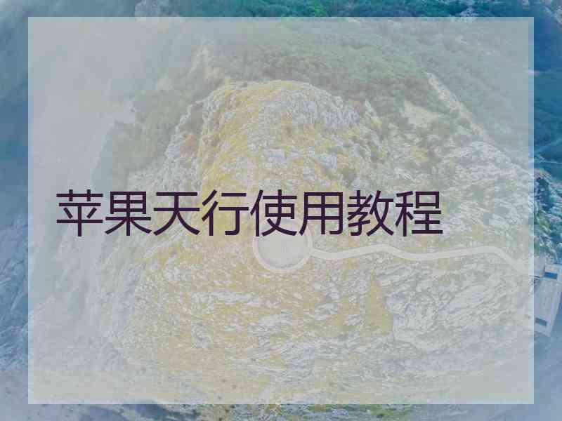 苹果天行使用教程