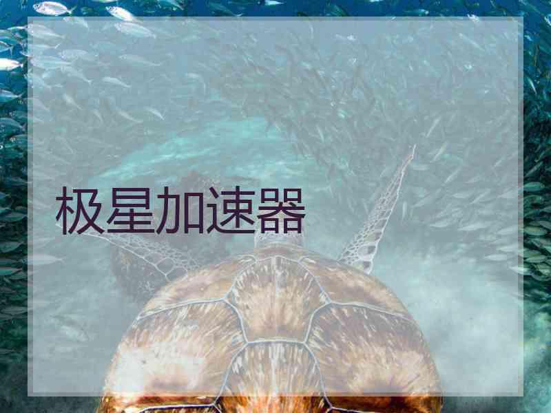 极星加速器