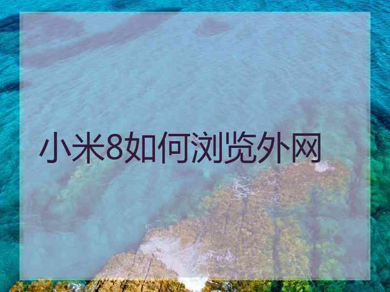 小米8如何浏览外网