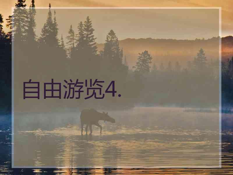 自由游览4.