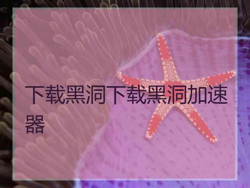 下载黑洞下载黑洞加速器