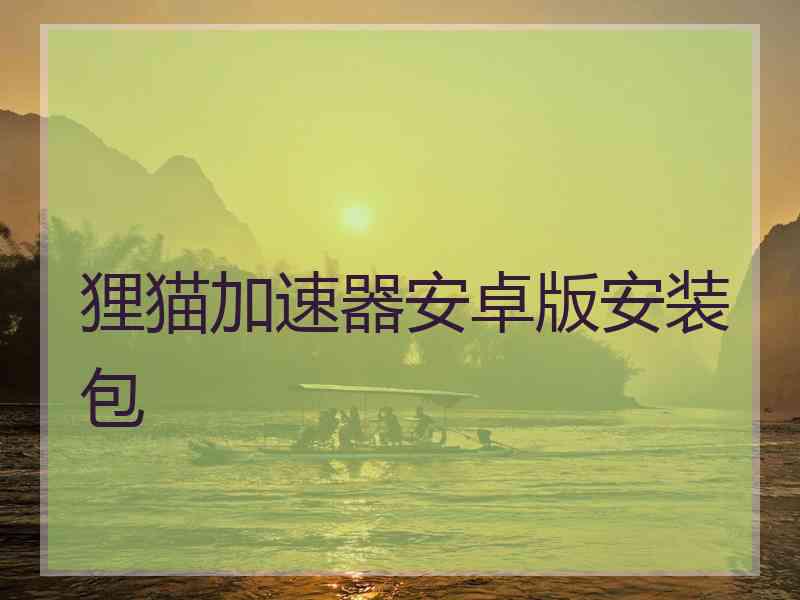 狸猫加速器安卓版安装包