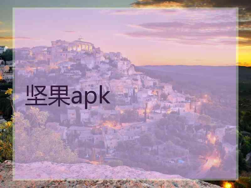 坚果apk