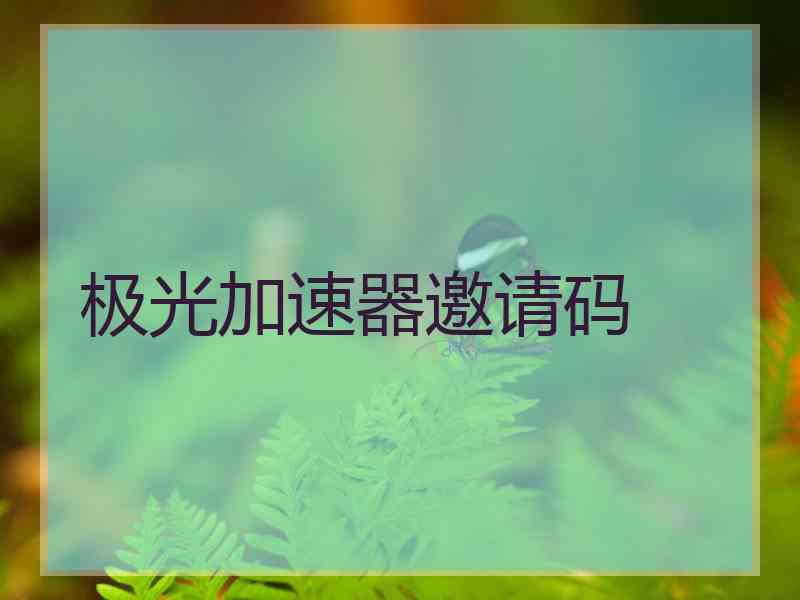 极光加速器邀请码