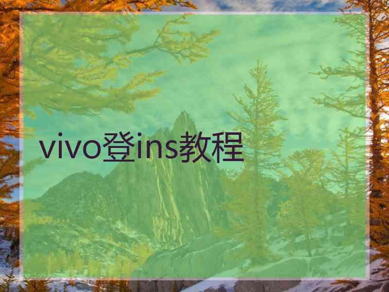 vivo登ins教程