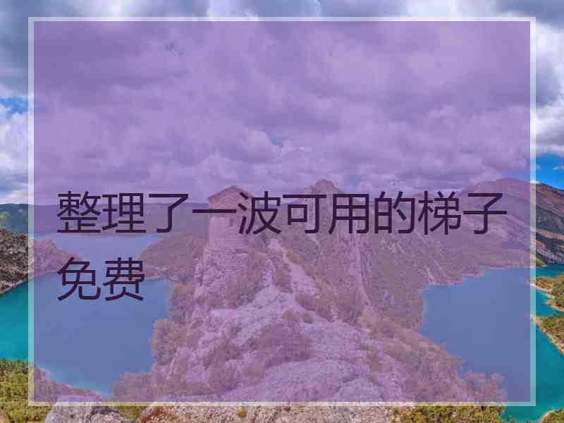 整理了一波可用的梯子免费