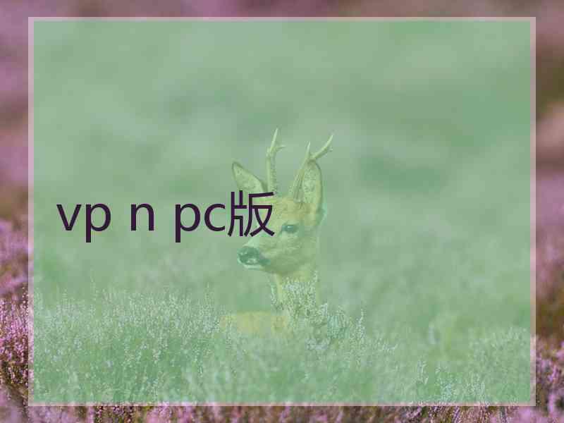 vp n pc版