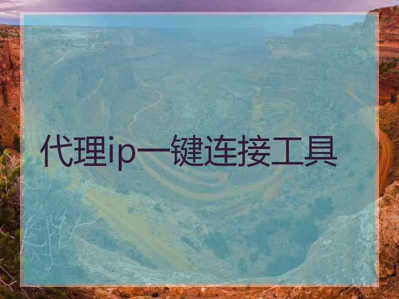 代理ip一键连接工具