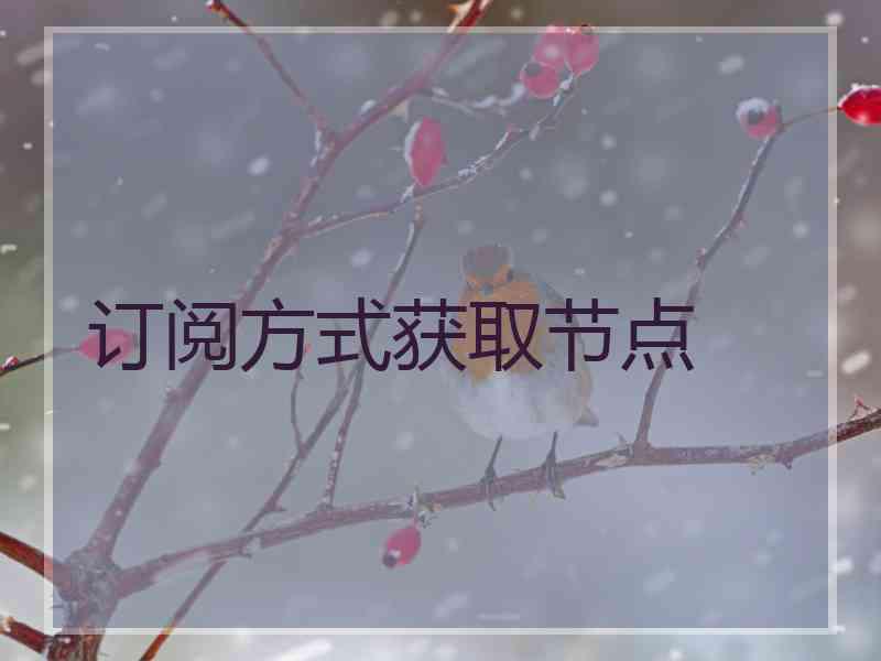 订阅方式获取节点