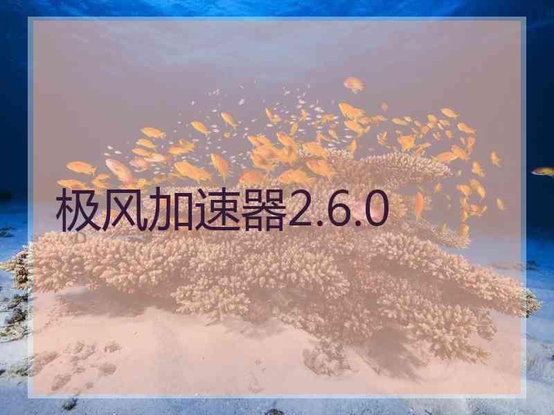 极风加速器2.6.0