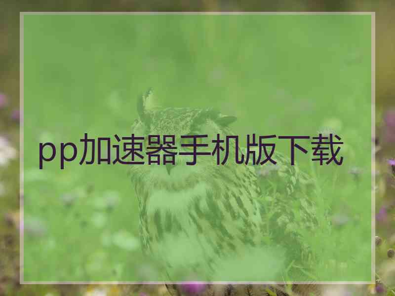 pp加速器手机版下载