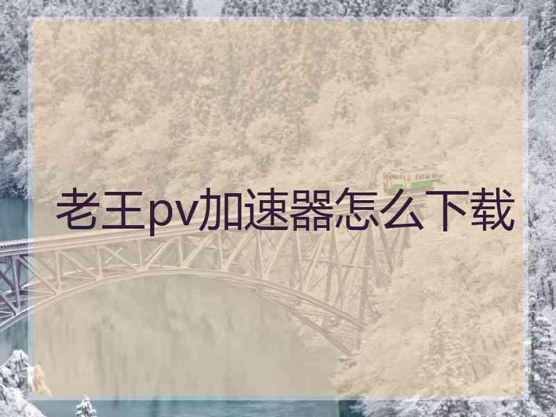 老王pv加速器怎么下载