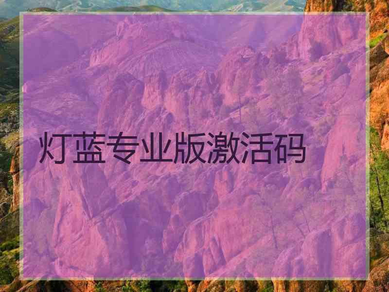 灯蓝专业版激活码