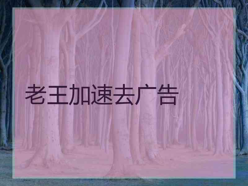 老王加速去广告