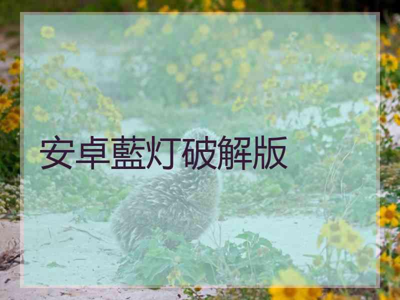 安卓藍灯破解版