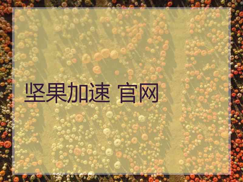 坚果加速 官网