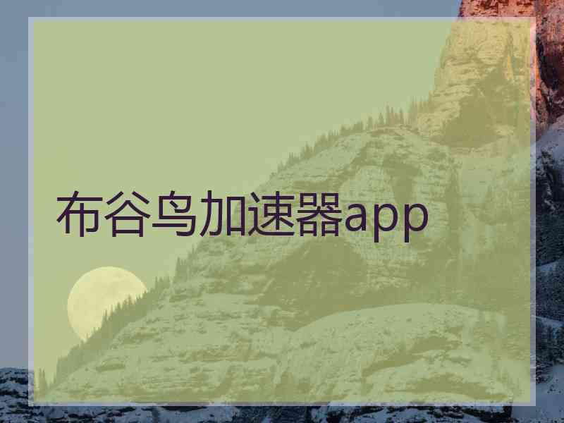布谷鸟加速器app