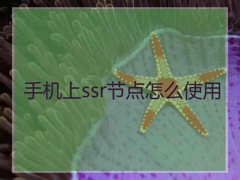 手机上ssr节点怎么使用