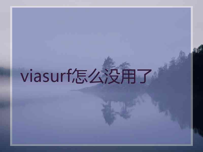 viasurf怎么没用了