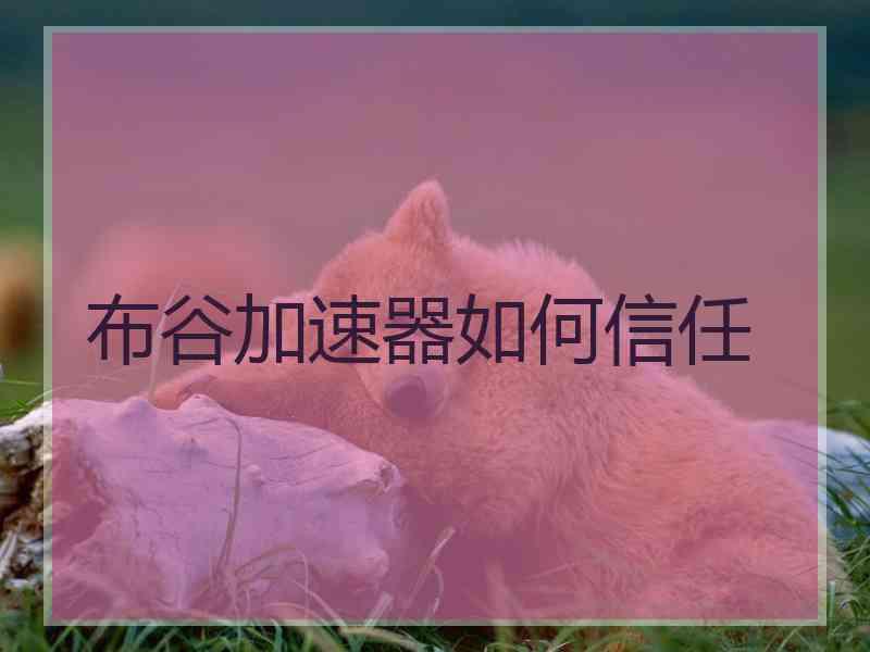 布谷加速器如何信任