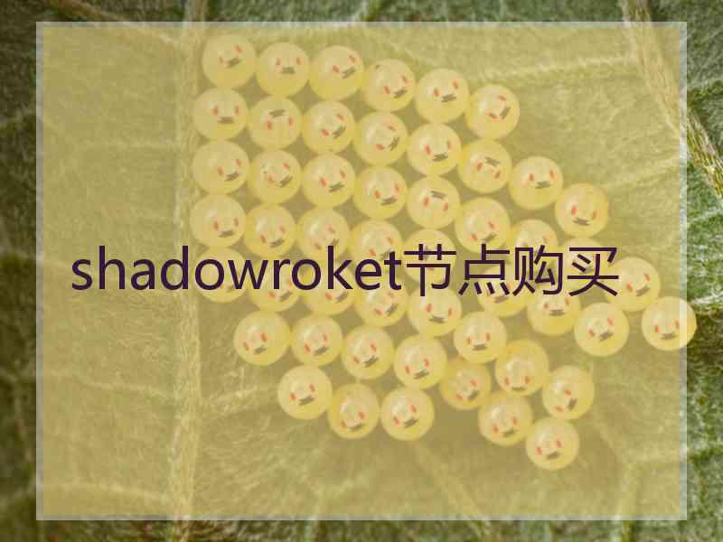 shadowroket节点购买