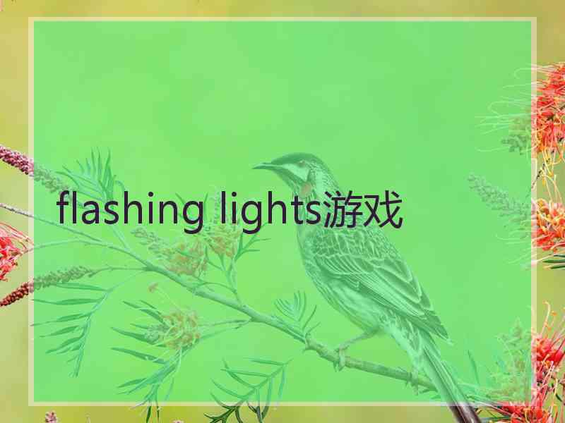 flashing lights游戏